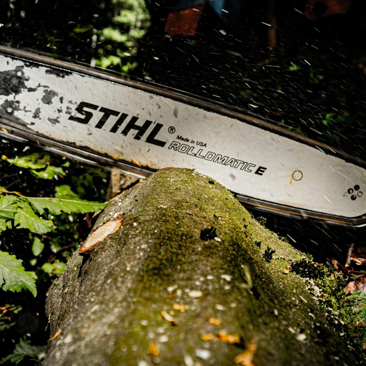 pexels-fabian-kohler-155870497-13695364